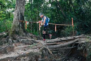 BIB: 
                            <button type="button" onclick="openModal(27741215)" class="btn btn-primary btn-sm float-right btn-popup" data-toggle="modal" data-target=".modal-high-quality">
                        <i class="fas fa-shopping-cart"></i> Add to Cart
                    </button>
                                            <button type="button" onclick="isThisMe(27741215, true)" class="btn btn-success btn-sm float-right btn-popup btn-isme hidden" data-toggle="tooltip" data-placement="bottom" title="นี่คือรูปของคุณใช่ไหม คลิกที่นี่เพื่อเอาเข้าอัลบั้ม">
                        <i class="fas fa-plus"></i> Add to album
                    </button>
                    <button type="button" onclick="isThisMe(27741215, false)" class="btn btn-warning btn-sm float-right btn-popup btn-isnotme hidden">
                        <i class="fas fa-ban"></i> Remove from album
                    </button>